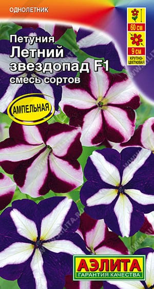 0b18e00f_0b4c_11ee_811e_0cc47adb9c64_aec76e6d_f902_11ef_8137_0cc47adb9c64 (1) (1)