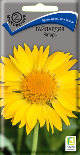 gailardia_yantar