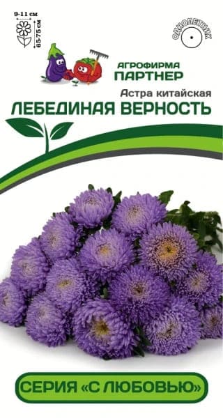 лверн (1)