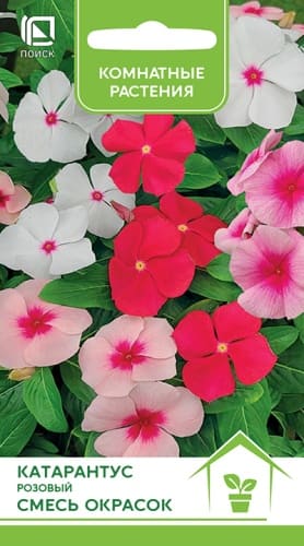katarantus_rozovy_smes_okrasok (1)