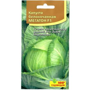 Капуста Б/К Мегатон 10шт (Ч)