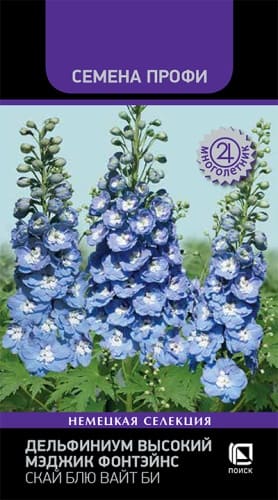 delfinium_visoky_magic_fontains_sky_blue_white_bi (1)