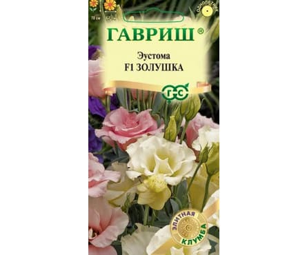 зол
