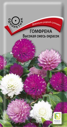 gomfrena_visokaya_smes_okrasok