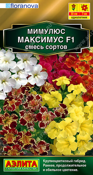 максим (1)