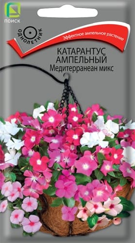 katarantus_ampel_mediterranean_mix (1)