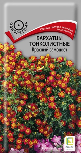 barhatsy_tonkolist_krasny_samocvet