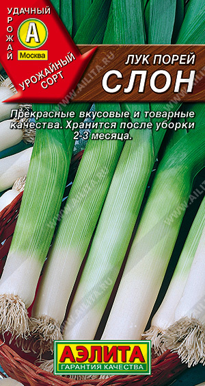 Лук порей Слон 1гр. (цвет.пакет)  -  АЭ