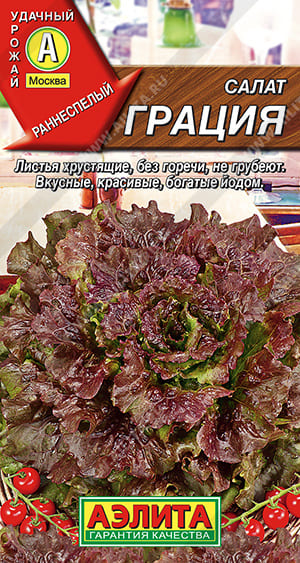 грация (1)