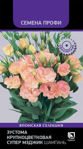 eustoma_krupnotsvetkovaya_super_medzhik_shampan