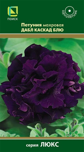 petunia_mahrov_dabl_kaskad_blue