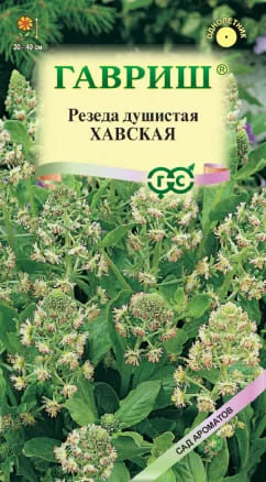 Резеда Хавская Душистая