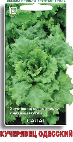 salat_kucheryavec_odessky (1) (1)