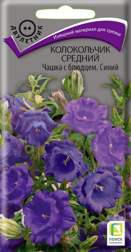kolokolchik_sredny_chashka_s_bludcem_siniy