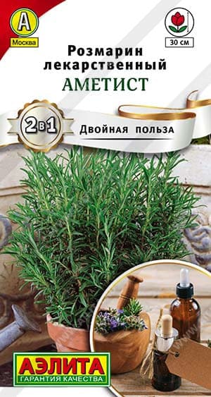 Розмарин (1) (1)