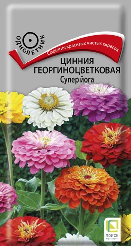 cinnia_georg_super_yoga (1)