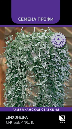 dikhondra_silver_fols dikhondra_silver_fols