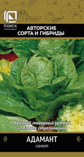 salat_adamant (1)