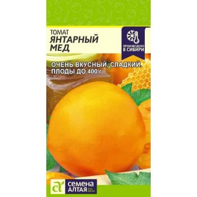 ям (1)