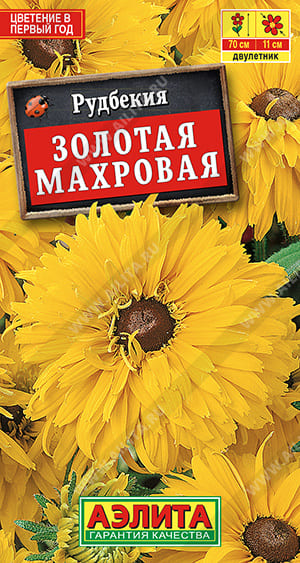 зол (1)