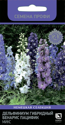 delfinium_gibrid_benaris_pacifik_mix
