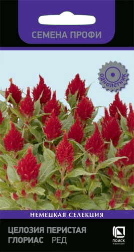 cellozia_peristaya_glorias_red