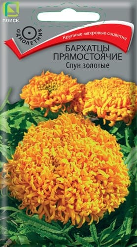 barhatsy_pryamost_spun_zolotie (1) (1)