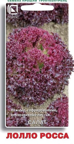 salat_lollo_rossa (1) (1)