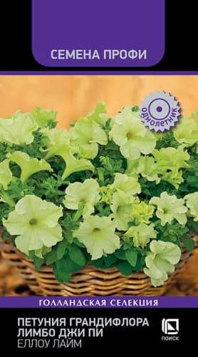 petunia_grandiflora_limbo_jp_pastel_yellow_lime (1)