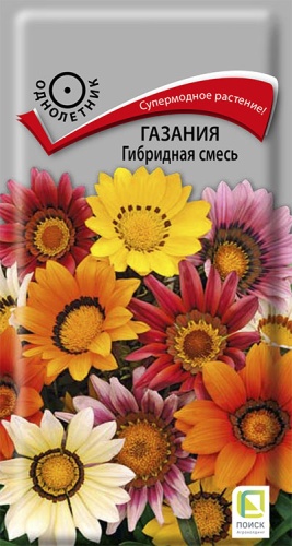gazania_gibrid_smes