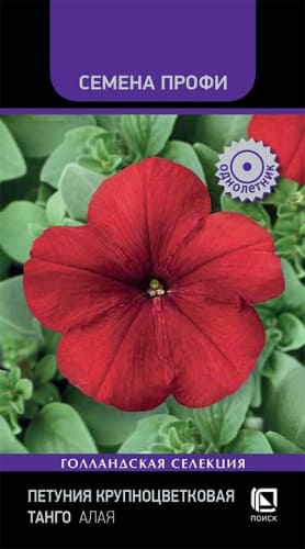 petunia_krupnocvet_tango_alaya (1)