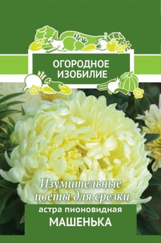 astra_pion_mashenka_og_izob (1)