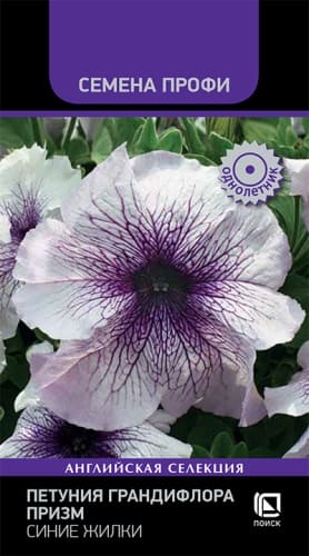 petunia_grandiflora_prizm_sinie_zhilki (1)