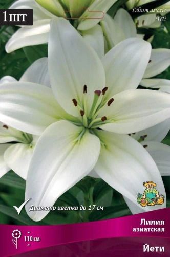 image (7)