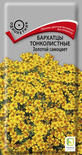 barhatsy_tonkolist_zolotoy_samocvet