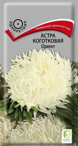 astra_kogotkovaya_orient