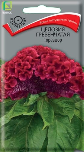 cellozia_greben_toreador (1)