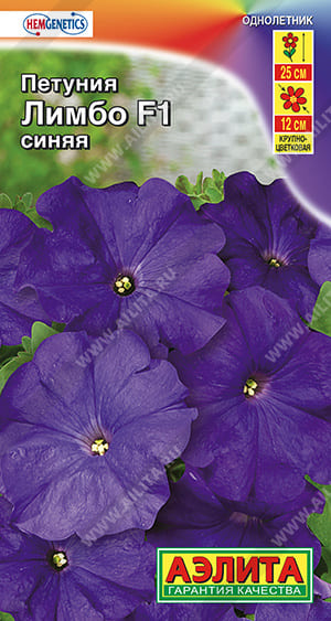 имбо синяя крупноцветковая  F1  7шт (1)