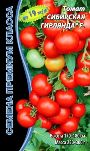 Томат Сибирская Гирлянда (1)