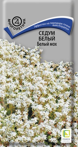 sedum_bely_bely_moh