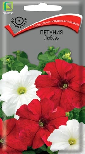 petunia_lubov (1)