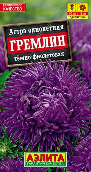 гф (1) (1)
