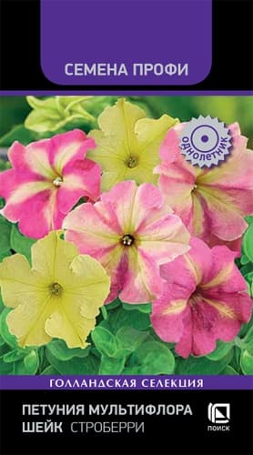 petuniya_multiflora_sheyk_stroberri (1)
