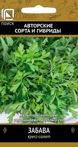 kress_salat_zabava (1) (1)