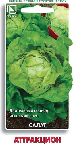 salat_attrakcion (1)