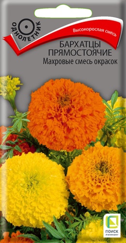 barhatsy_pryamost_mahr_smes_okrasok