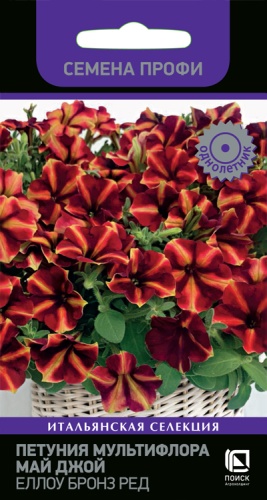 petunia_multiflora_my_joy_yellow_bronz_red