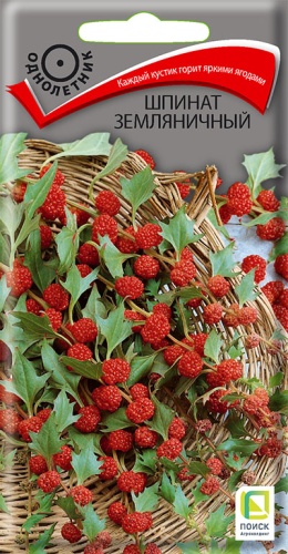 shpinat_zemlyanichny