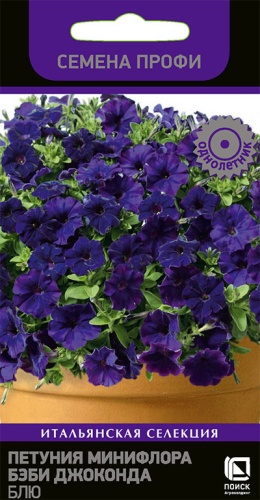 petunia_miniflora_baby_joconda_blue