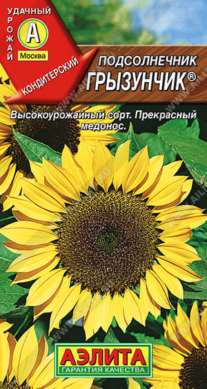 грыз (1) (1)